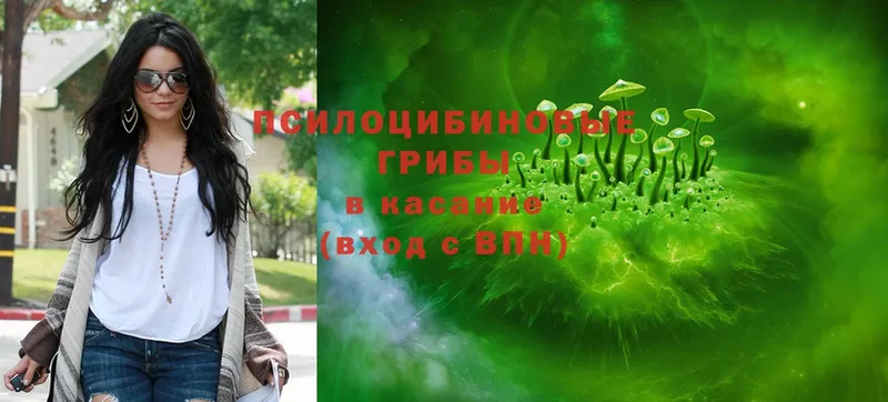 Галлюциногенные грибы GOLDEN TEACHER  OMG зеркало  Барнаул 